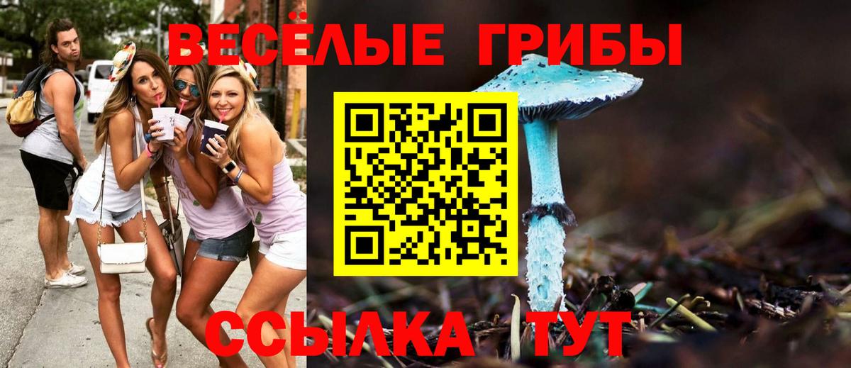 Псилоцибиновые грибы мицелий  Галлюциногенные грибы Psilocybine cubensis  Среднеуральск  Вход с VPN 